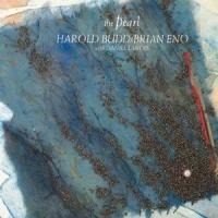 The Pearl (2005 Remastered) - Brian Eno