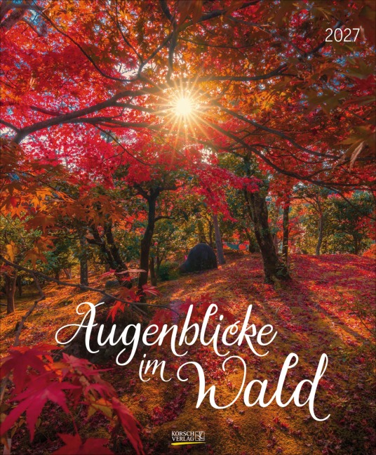 Augenblicke im Wald 2027 - 
