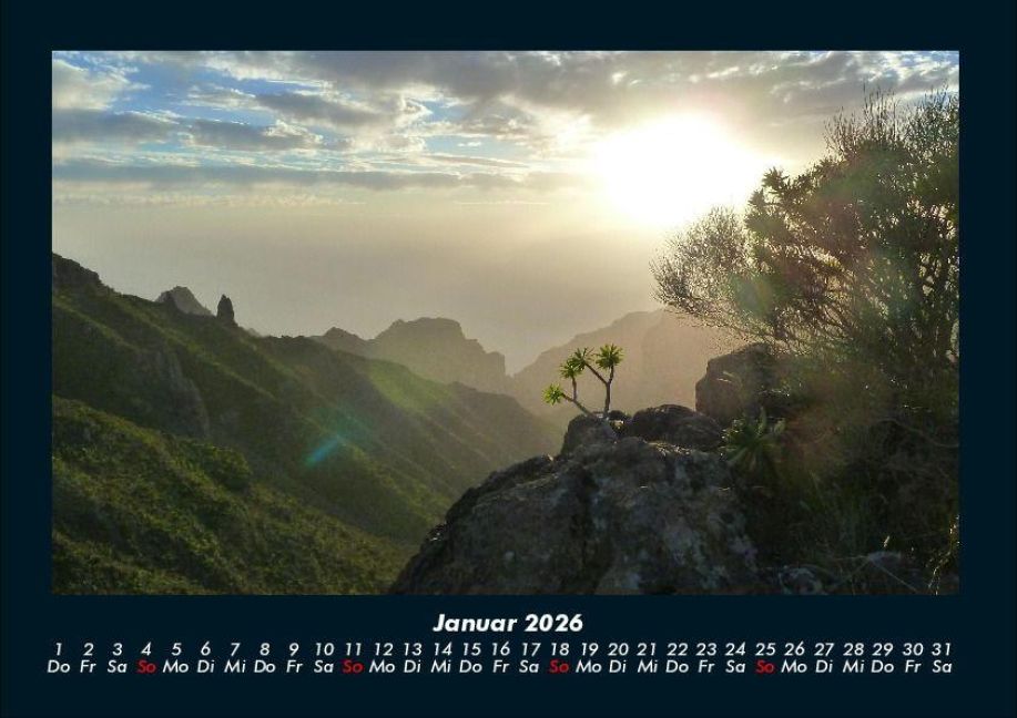 InsideView 5