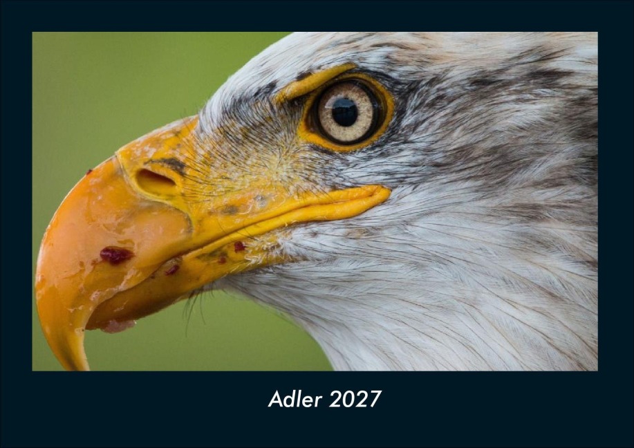 Adler 2027 Fotokalender DIN A4 - Tobias Schmitt, Kevin Heber