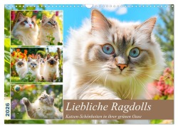 Cover-Bild zum Titel 'Liebliche Ragdolls. Katzen-Schönheiten in ihrer grünen Oase (Wandkalender 2026 DIN A3 quer), CALVENDO Monatskalender' von 'Rose Hurley'