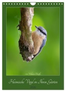 Heimische Vögel in Ihren Gärten (Wandkalender 2026 DIN A4 hoch), CALVENDO Monatskalender - William Hauffe