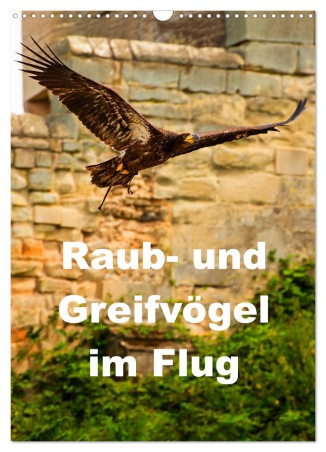 Raub- und Greifvögel im Flug (Wandkalender 2026 DIN A3 hoch), CALVENDO Monatskalender - Gabriela Wernicke-Marfo