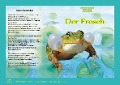 Natur-Kamishibai - Der Frosch - Heiderose Fischer-Nagel, Andreas Fischer-Nagel