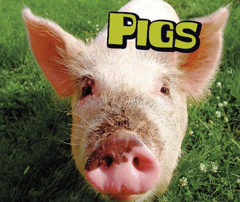 Pigs - Sheri Doyle