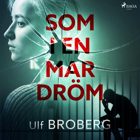 Som i en mardröm - Ulf Broberg