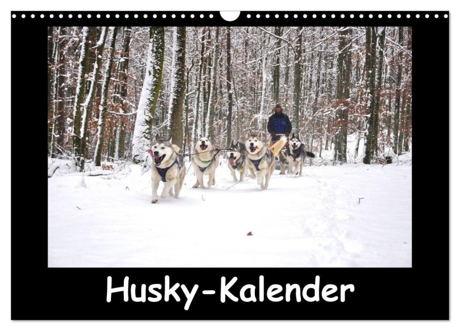 Husky-Kalender (Wandkalender 2027 DIN A3 quer), CALVENDO Monatskalender - Andiwolves