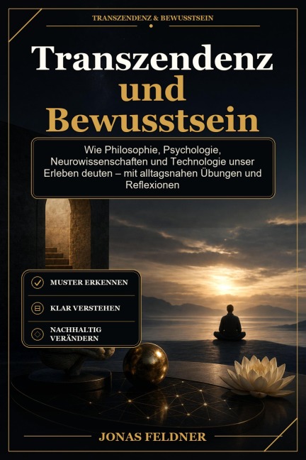Transzendenz und Bewusstsein - Jonas Feldner