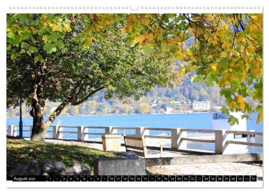 InsideView 12