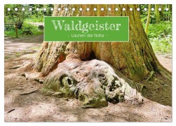 Cover-Bild zum Titel 'Waldgeister - Launen der Natur (Tischkalender 2026 DIN A5 quer), CALVENDO Monatskalender' von 'Angelika Keller'