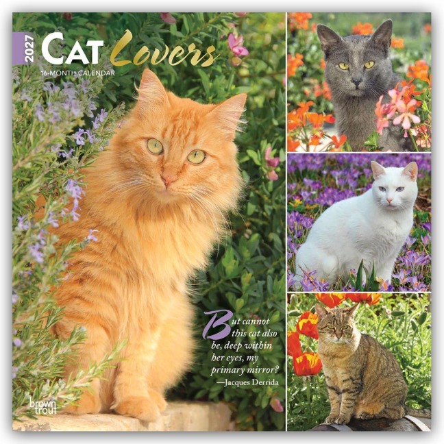 Cat Lovers - Katzenliebhaber 2027 - 16-Monatskalender - Browntrout Publishers
