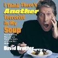 I Think There's Another Terrorist in My Soup - David Brenner