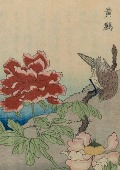 Cover-Bild zum Titel 'Carnet Blanc, Oiseaux Étrangers' von ''