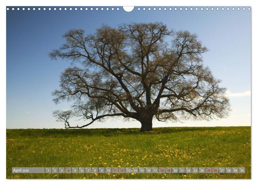 InsideView 9
