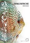  Diskusfische