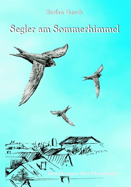 Segler am Sommerhimmel - Stefan Bosch