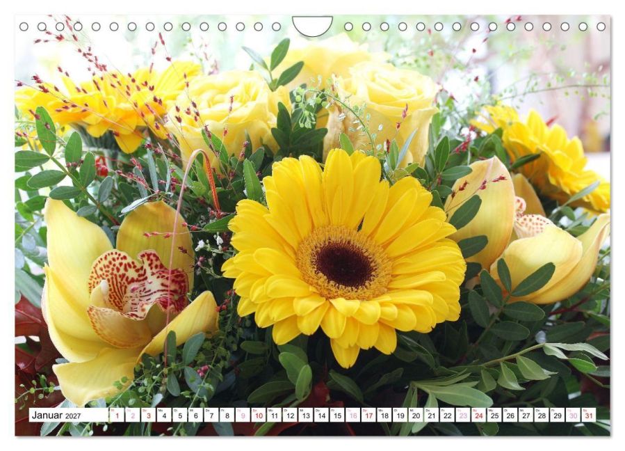 InsideView 6