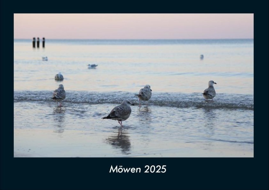Möwen 2025 Fotokalender DIN A4 - Tobias Becker