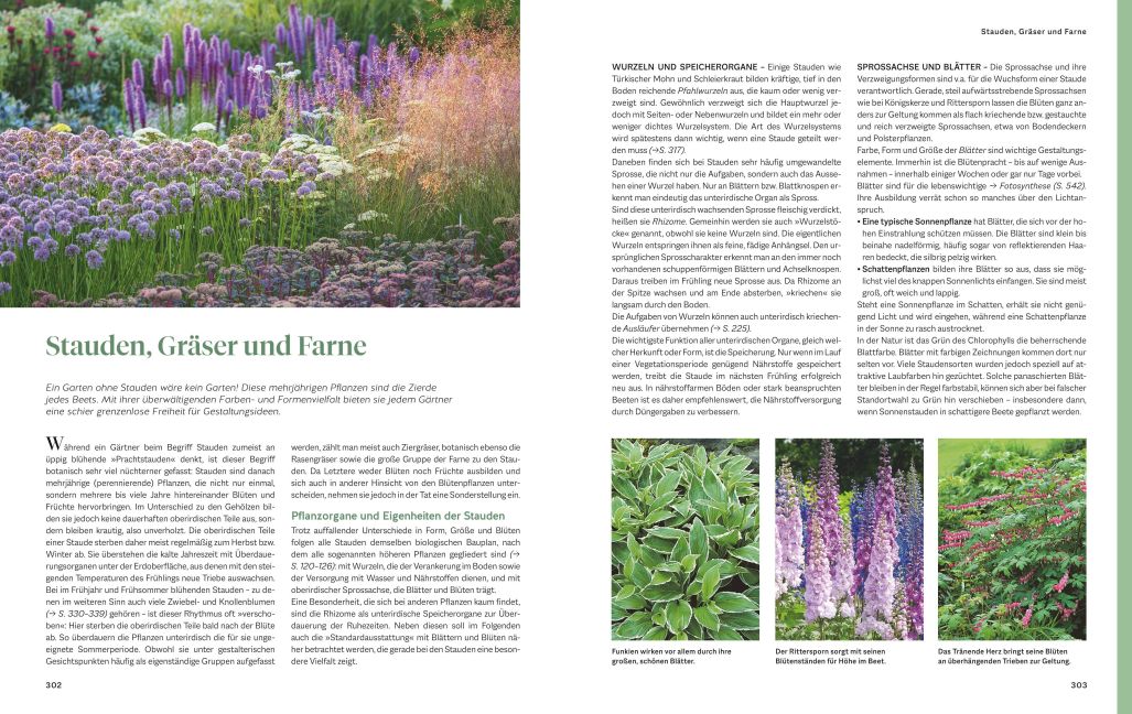 InsideView 6
