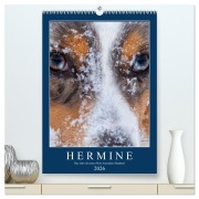 Cover-Bild zum Titel 'Hermine - Ein Jahr mit einem Mini Australian Shepherd (hochwertiger Premium Wandkalender 2026 DIN A2 hoch), Kunstdruck in Hochglanz' von 'Kai Wernze'