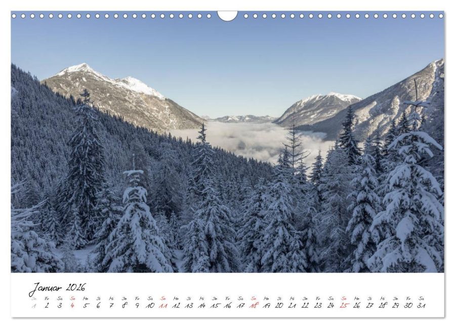 InsideView 6
