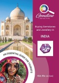 Cover-Bild zum Titel 'The Gemstone Detective' von 'Kim Rix'