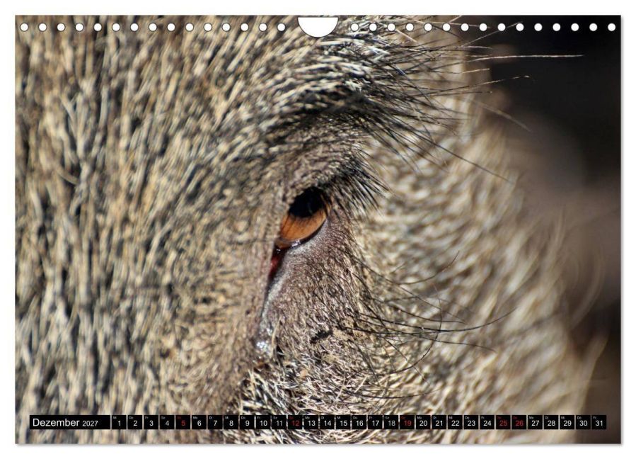 InsideView 4