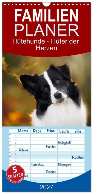 Familienplaner 2027 - Hütehunde - Hüter der Herzen mit 5 Spalten (Wandkalender, 21 x 45 cm) CALVENDO - Pfotenblitzer Tierfotografie