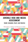 Cover-Bild zum Titel 'Juvenile Risk and Needs Assessment' von 'Christopher J. Sullivan, Kristina K. Childs'