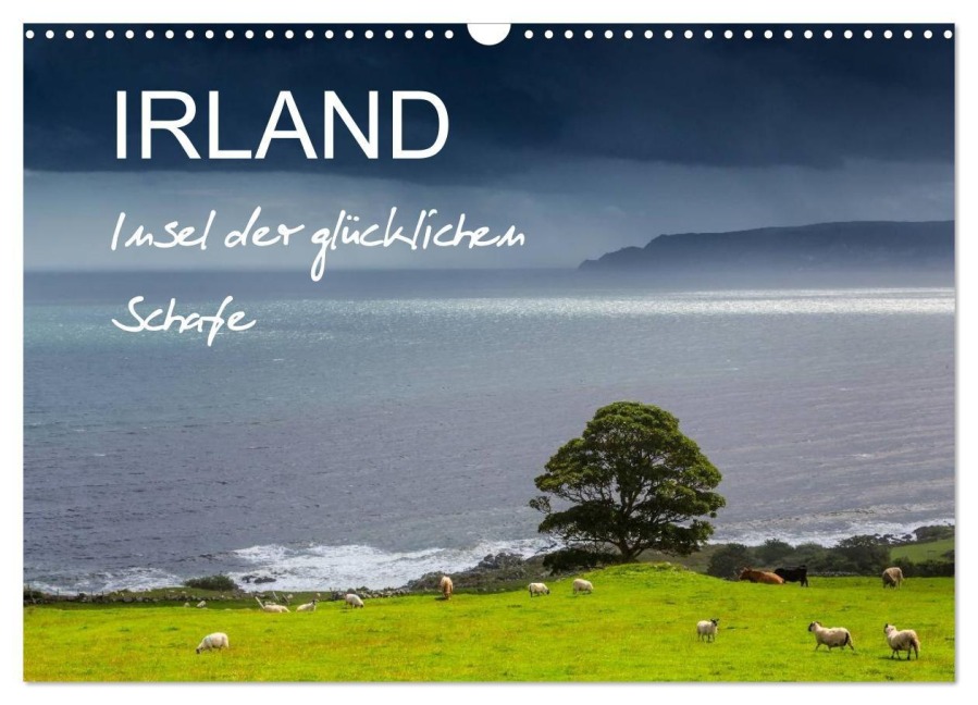 IRLAND - Insel der glücklichen Schafe (Wandkalender 2027 DIN A3 quer), CALVENDO Monatskalender - Ferry Böhme
