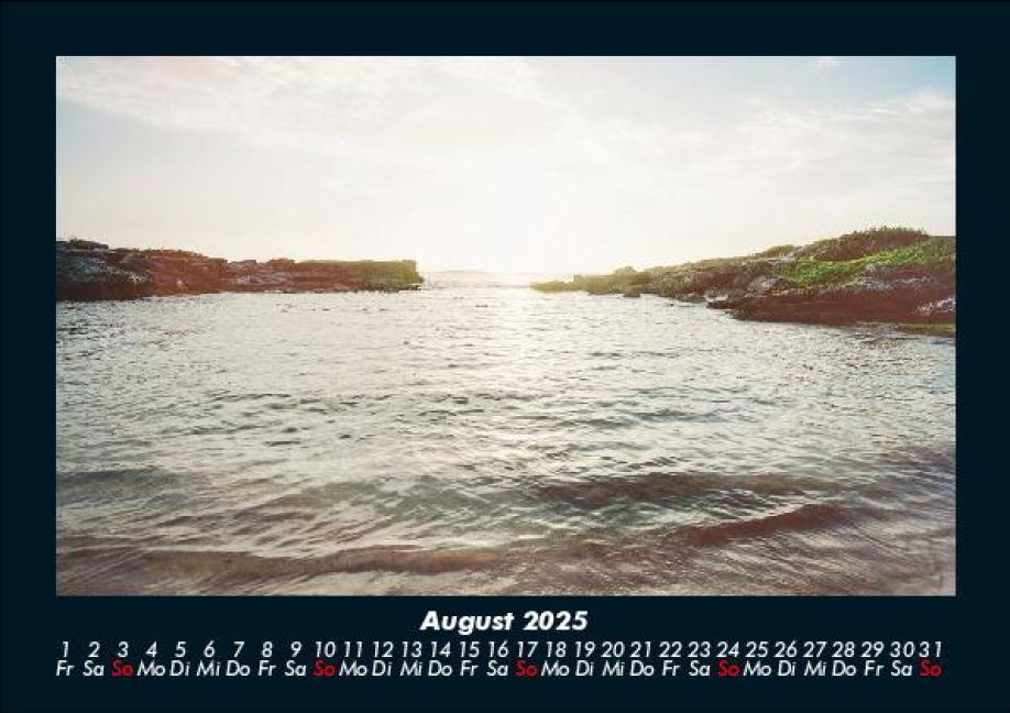 InsideView 12