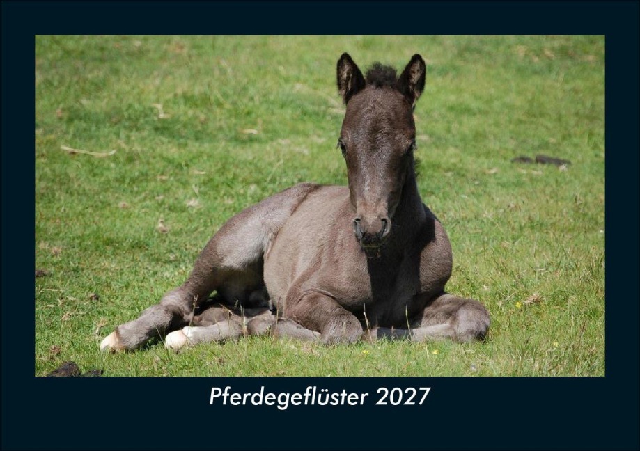 Pferdegeflüster 2027 Fotokalender DIN A5 - Kevin Heber, Tobias Schmitt