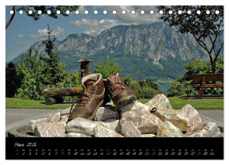 InsideView 8