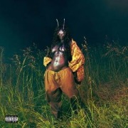 Cover-Bild zum Titel 'SOS Deluxe: LANA' von 'Sza'