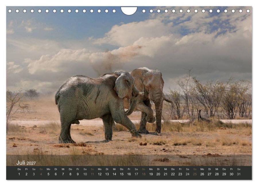 InsideView 12