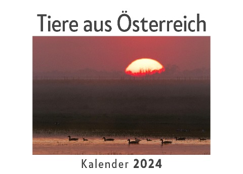 Tiere aus Österreich (Wandkalender 2024, Kalender DIN A4 quer, Monatskalender im Querformat mit Kalendarium, Das perfekte Geschenk) - Anna Müller