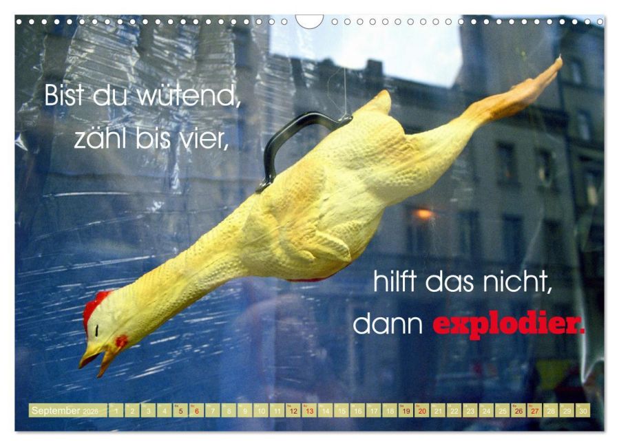 InsideView 14
