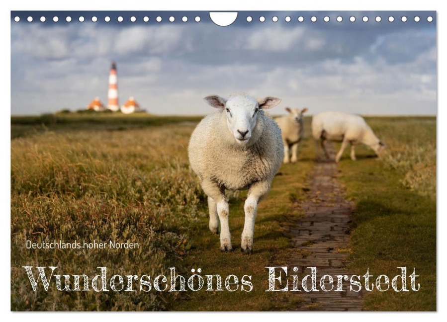 Wunderschönes Eiderstedt (Wandkalender 2026 DIN A4 quer), CALVENDO Monatskalender - Ulla Moswald