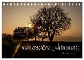 wunderschöne Lichtmomente (Tischkalender 2025 DIN A5 quer), CALVENDO Monatskalender - Julia Vornberger