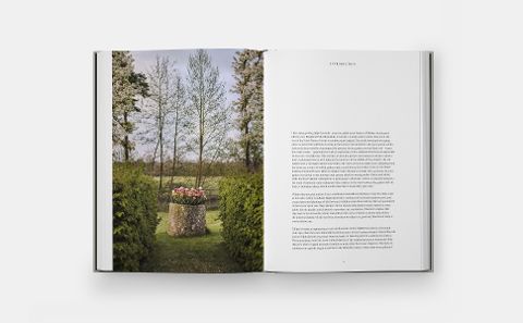 InsideView 3