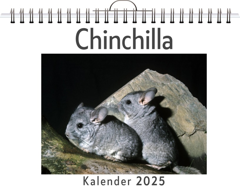 Chinchilla - Noah Richter