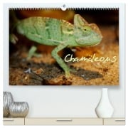 Chamäleons (hochwertiger Premium Wandkalender 2026 DIN A2 quer), Kunstdruck in Hochglanz - Chawera Chawera