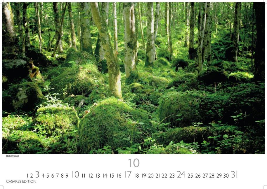InsideView 10