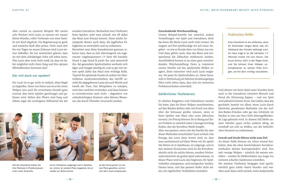 InsideView 6