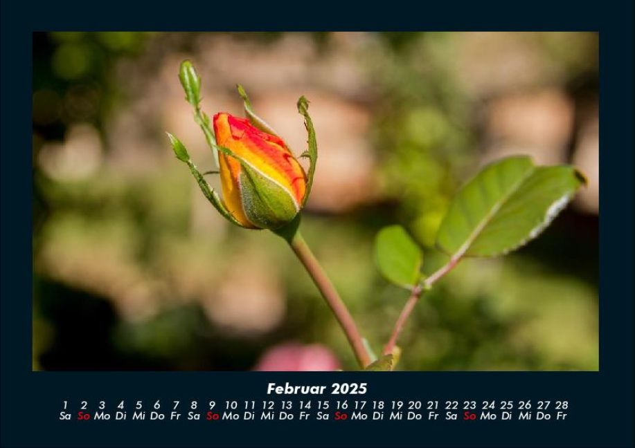 InsideView 6