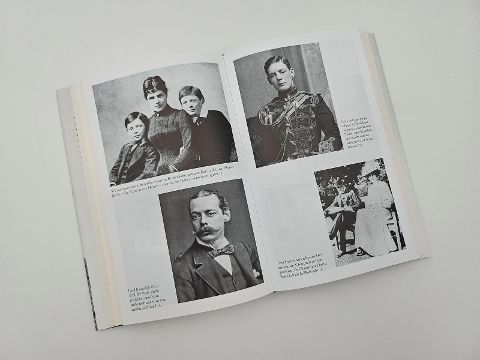 InsideView 6