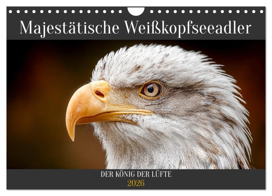 Majestätische Weißkopfseeadler - Der König der Lüfte (Wandkalender 2026 DIN A4 quer), CALVENDO Monatskalender - Mb Fotografie
