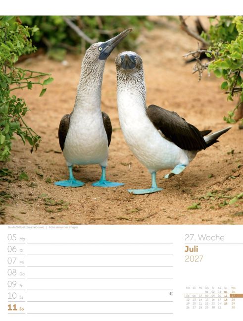 InsideView 31
