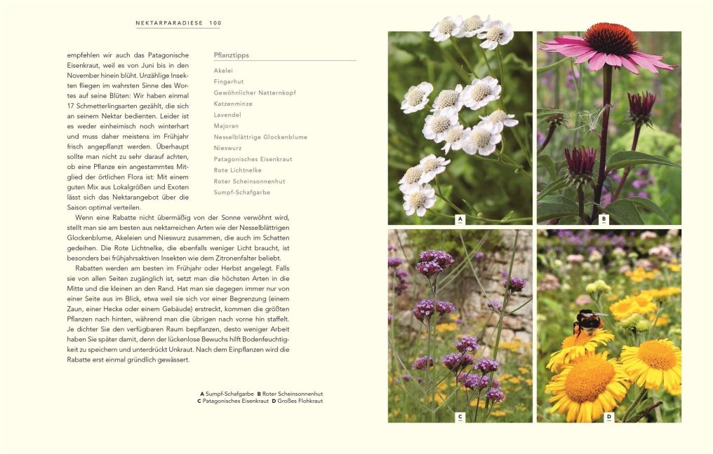 InsideView 6