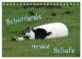 Schottlands Highland Schafe (Tischkalender 2024 DIN A5 quer), CALVENDO Monatskalender - ~Bwd~ ~Bwd~